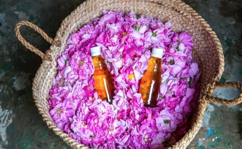 تصویر 4 از گلاب اصل قمصر کاشان مناسب مصارف خانگی و غذایی